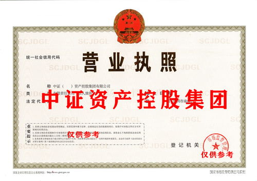 商务信息咨询 企业决策的导航与智慧引擎