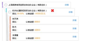 上海顺漾商务信息咨询合伙企业（有限合伙）的专业服务与市场价值探析
